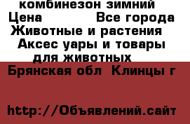 комбинезон зимний › Цена ­ 1 300 - Все города Животные и растения » Аксесcуары и товары для животных   . Брянская обл.,Клинцы г.